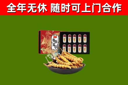 龙马潭区烟酒回收冬虫夏草礼盒.jpg
