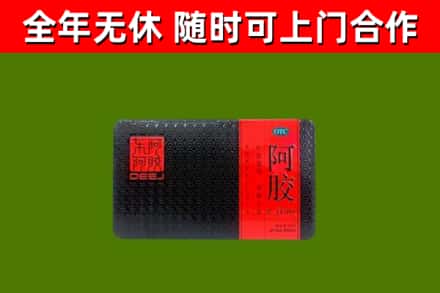 龙马潭区回收阿胶