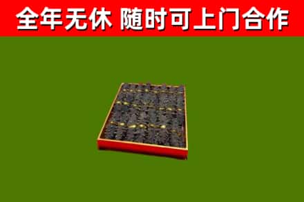 龙马潭区回收海参